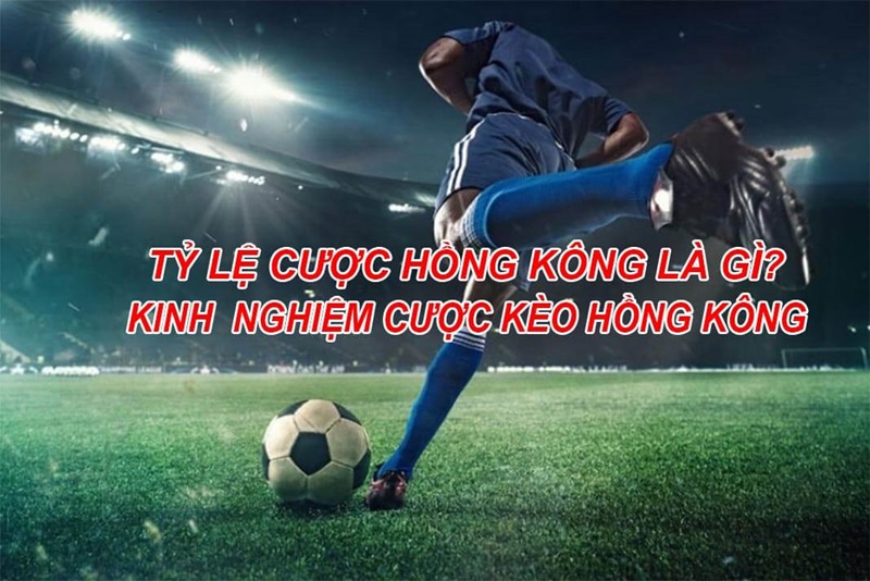 Tỷ lệ cược Hồng Kông là gì và cách chơi cược Hồng Kông 3 Tỷ lệ cược Hồng Kông là gì và cách chơi cược Hồng Kông